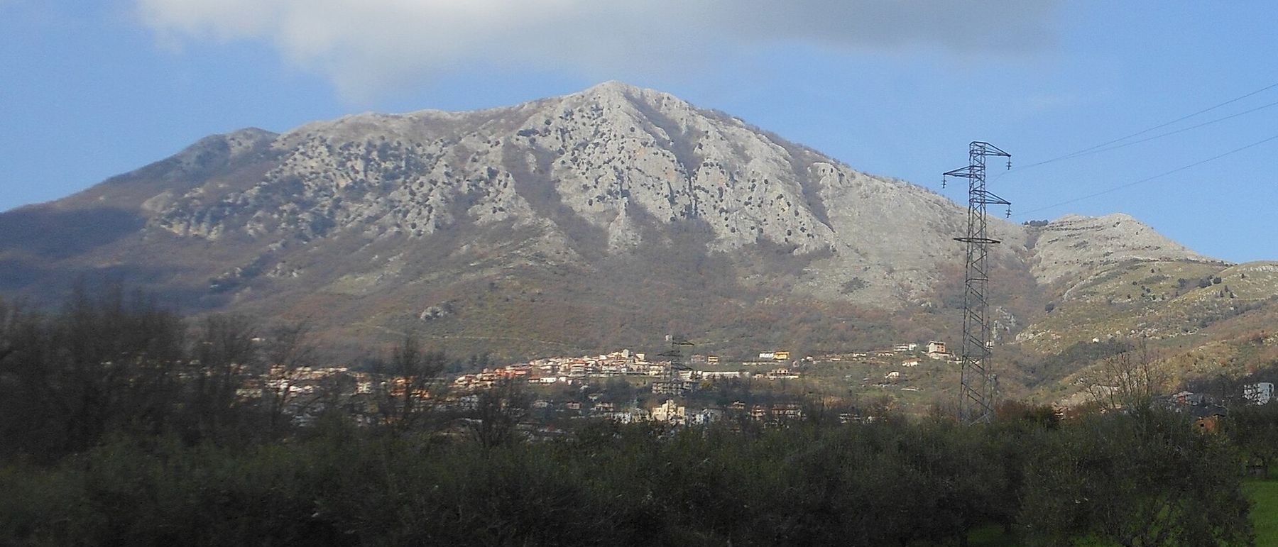 Ulivi ai piedi del monte Pentime, nel Sannio